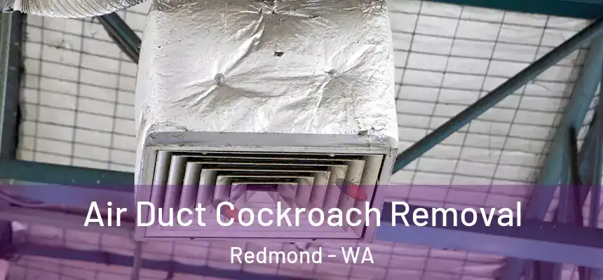  Air Duct Cockroach Removal Redmond - WA