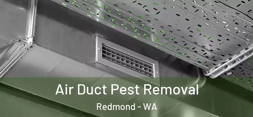 Air Duct Pest Removal Redmond - WA