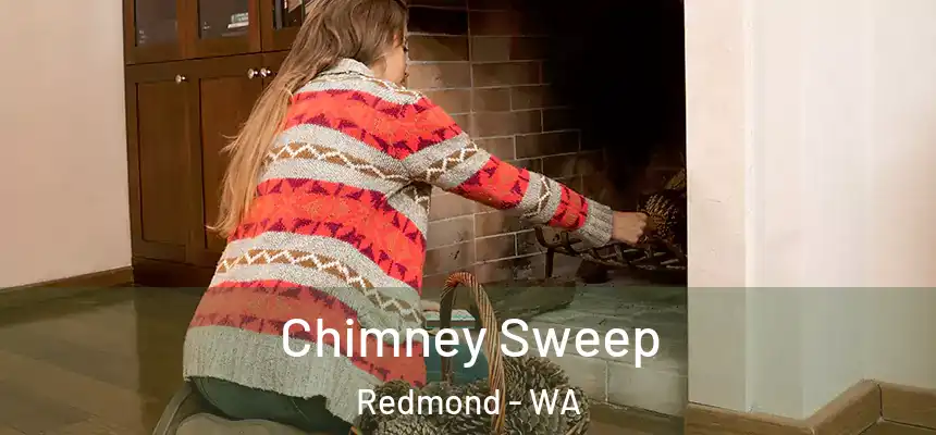 Chimney Sweep Redmond - WA