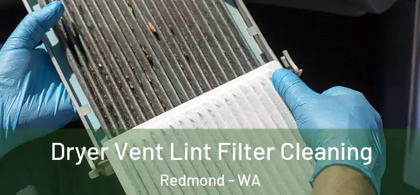 Dryer Vent Lint Filter Cleaning Redmond - WA