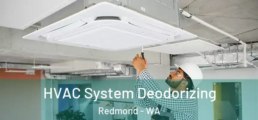 HVAC System Deodorizing Redmond - WA