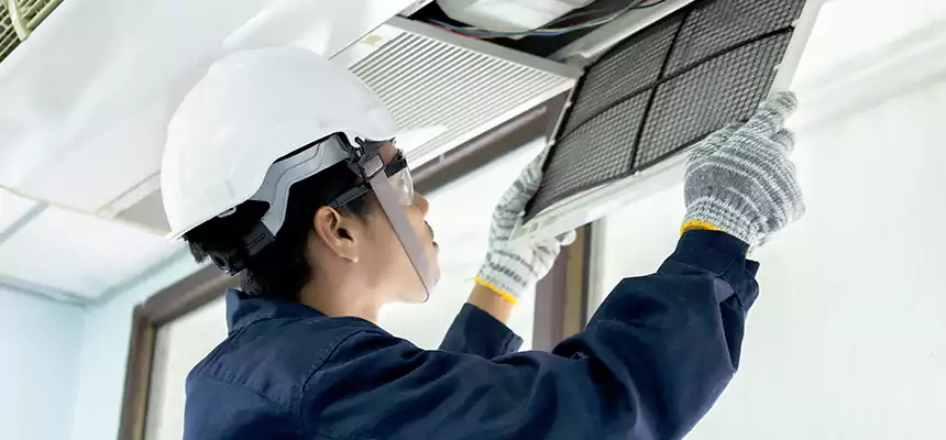 Our Mold & Mildew Removal from Air Ducts Services in Redmond, WA