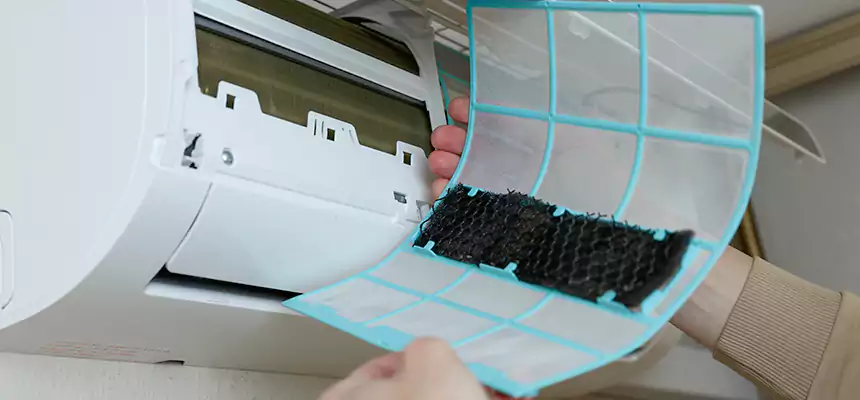 Gentle Ductwork Odor-Control Pet Dander Duct Cleaning in Redmond, WA