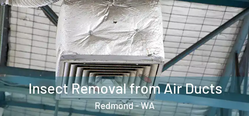 Insect Removal from Air Ducts Redmond - WA