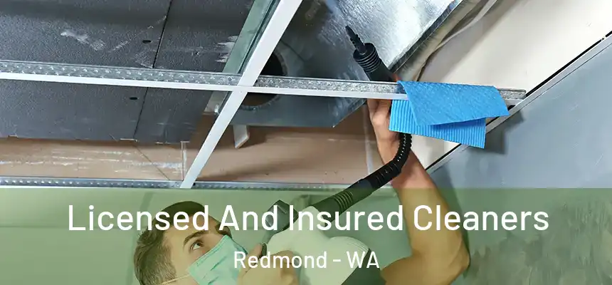Licensed And Insured Cleaners Redmond - WA