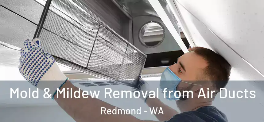 Mold & Mildew Removal from Air Ducts Redmond - WA