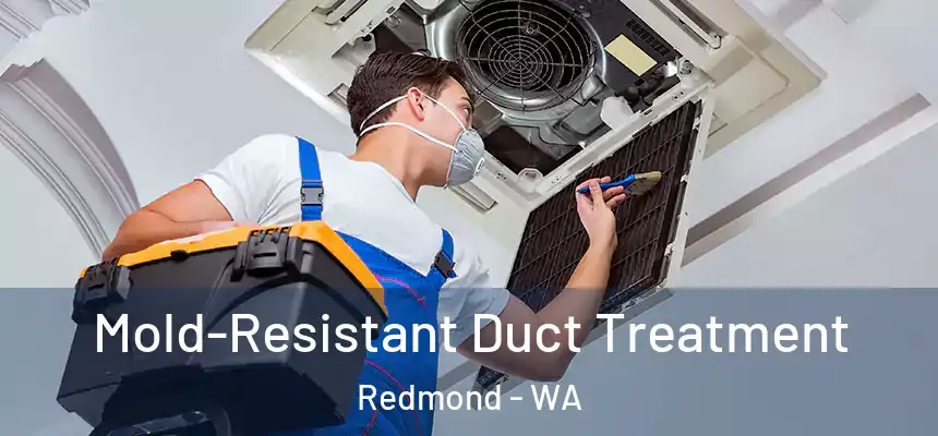 Mold-Resistant Duct Treatment Redmond - WA