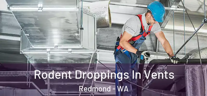Rodent Droppings In Vents Redmond - WA