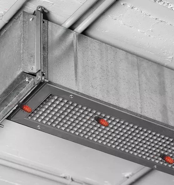 About Air Duct Cockroach Removal in Redmond, WA