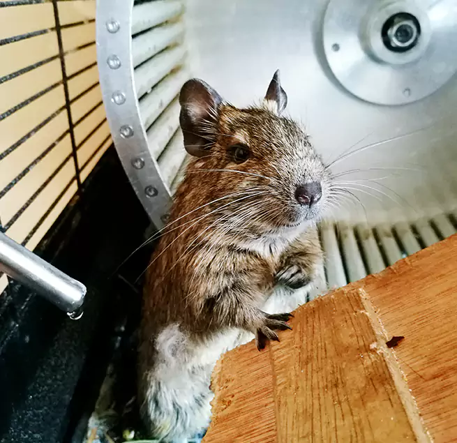 Why Homeowners & Businesses Trust Us Redmond, WA